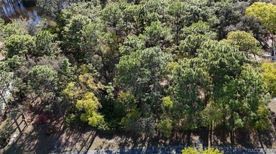 Build your dream home on this beautiful vacant lot in Sugar Mill - photo 5