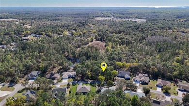 Build your dream home on this beautiful vacant lot in Sugar Mill - photo 6