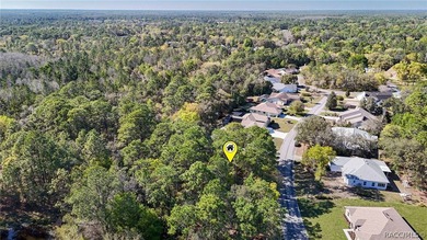 Build your dream home on this beautiful vacant lot in Sugar Mill - photo 8