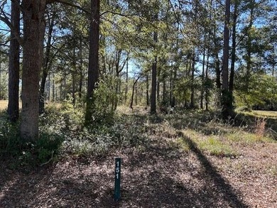 Sapelo River Lot For Sale in Shellman Bluff Georgia