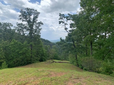 Valley River Acreage For Sale in Marble North Carolina