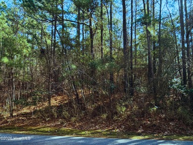 Lake Surf Lot For Sale in Vass North Carolina
