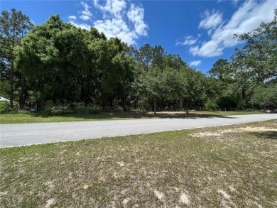 Lake Indigo Acreage For Sale in Groveland Florida