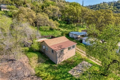 Lake Home For Sale in Clearlake Oaks, California