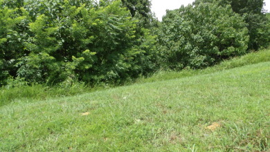 0.56 AC WITH STRETCHED MTN VIEWS - photo 5