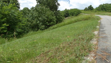 0.56 AC WITH STRETCHED MTN VIEWS - photo 10