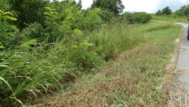0.56 AC WITH STRETCHED MTN VIEWS - photo 4