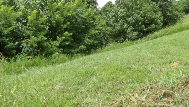 0.56 AC WITH STRETCHED MTN VIEWS - photo 9