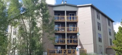 Dillon Reservoir Condo For Sale in Silverthorne Colorado