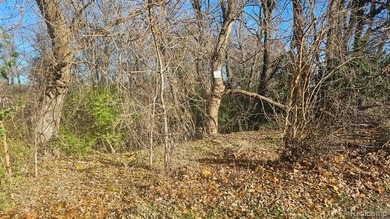 Ore Lake Lot For Sale in Brighton Michigan