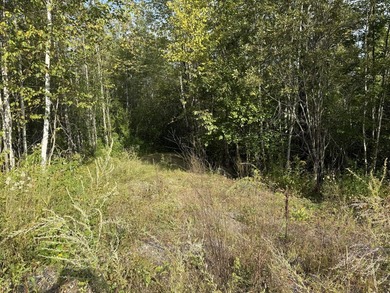 Don't miss this unique opportunity to own two adjacent lots - photo 4