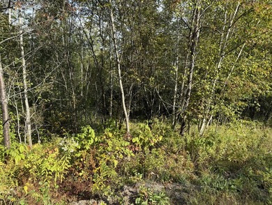 Don't miss this unique opportunity to own two adjacent lots - photo 5