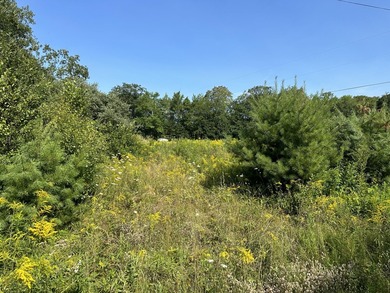 Don't miss this unique opportunity to own two adjacent lots - photo 6