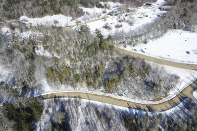 Don't miss this unique opportunity to own two adjacent lots - photo 8