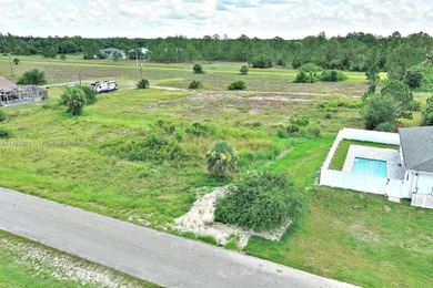 Lehigh Acres Area Lot For Sale in Lehigh Acres Florida
