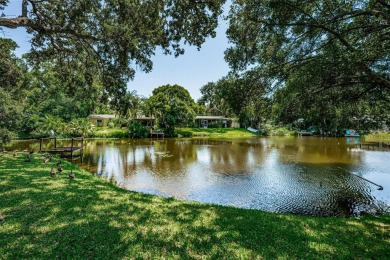 (private lake, pond, creek) Home Sale Pending in Dunedin Florida