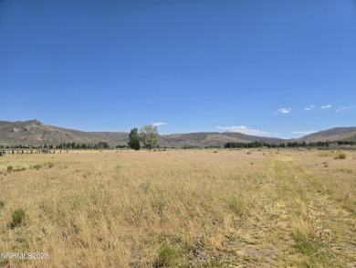 (private lake, pond, creek) Acreage For Sale in Reno Nevada
