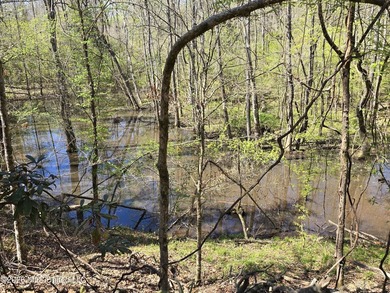 Hunting Cabin on 63 Acres in Franklin County, Mississippi - photo 11