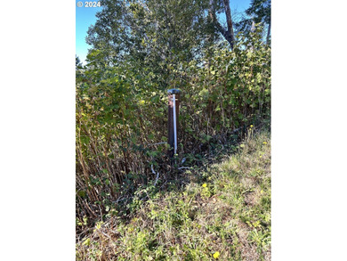 Gorgeous lot in the serene Carpenterville hills, build ready - photo 11