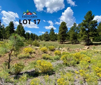 (private lake, pond, creek) Lot For Sale in Vernon Arizona