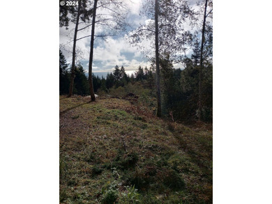 Gorgeous lot in the serene Carpenterville hills, build ready - photo 13