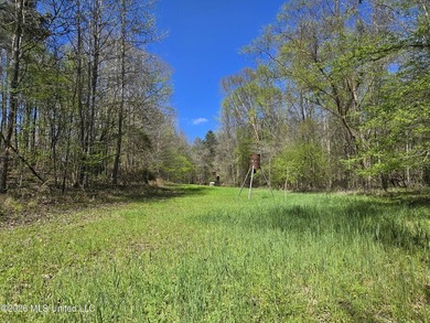 Hunting Cabin on 63 Acres in Franklin County, Mississippi - photo 14