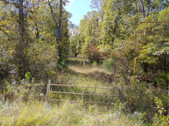 5 acres with a well, no restrictions - Lake Acreage For Sale in Gainesville, Missouri