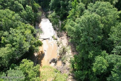 Hunting Cabin on 63 Acres in Franklin County, Mississippi - photo 16