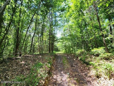 Hunting Cabin on 63 Acres in Franklin County, Mississippi - photo 21