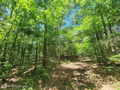 Hunting Cabin on 63 Acres in Franklin County, Mississippi - photo 22
