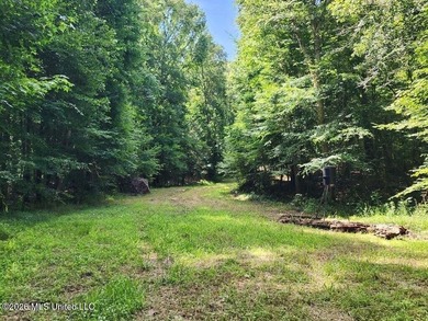 Hunting Cabin on 63 Acres in Franklin County, Mississippi - photo 25