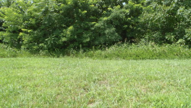 0.56 AC WITH STRETCHED MTN VIEWS - photo 8