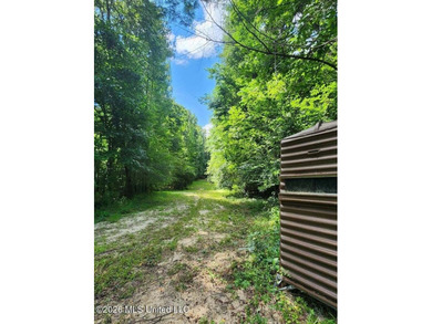 Hunting Cabin on 63 Acres in Franklin County, Mississippi - photo 26