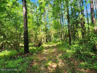 Hunting Cabin on 63 Acres in Franklin County, Mississippi - photo 27