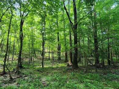 Hunting Cabin on 63 Acres in Franklin County, Mississippi - photo 28