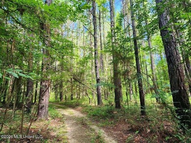 Hunting Cabin on 63 Acres in Franklin County, Mississippi - photo 29