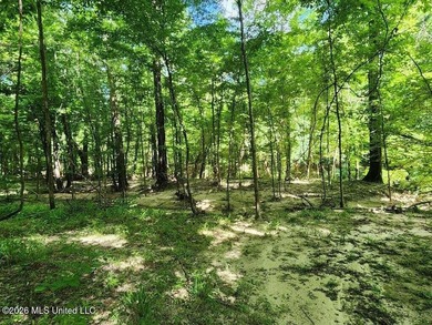 Hunting Cabin on 63 Acres in Franklin County, Mississippi - photo 31