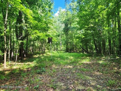 Hunting Cabin on 63 Acres in Franklin County, Mississippi - photo 32