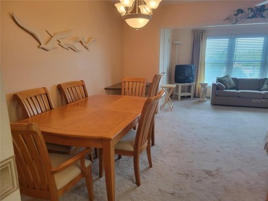Hidden Gem and well maintained 55+ Long Bayou Condo Community 1 - photo 33