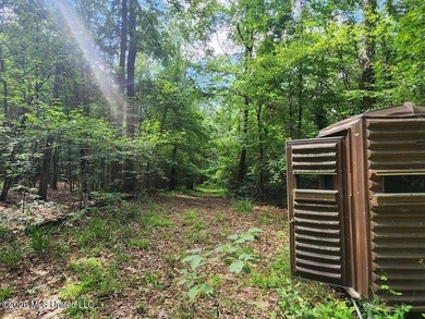 Hunting Cabin on 63 Acres in Franklin County, Mississippi - photo 33