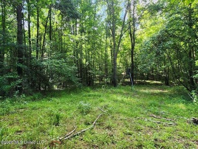 Hunting Cabin on 63 Acres in Franklin County, Mississippi - photo 34