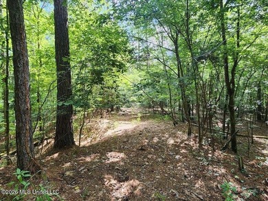 Hunting Cabin on 63 Acres in Franklin County, Mississippi - photo 36