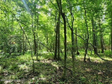 Hunting Cabin on 63 Acres in Franklin County, Mississippi - photo 38