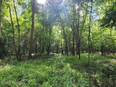 Hunting Cabin on 63 Acres in Franklin County, Mississippi - photo 39