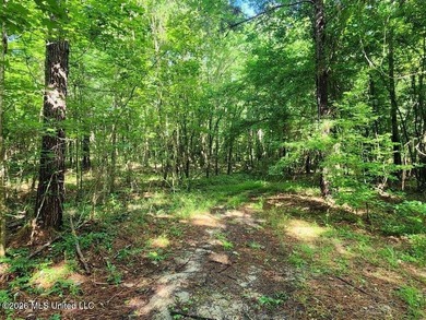 Hunting Cabin on 63 Acres in Franklin County, Mississippi - photo 40