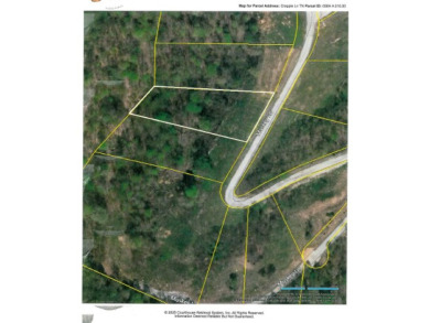0.56 AC WITH STRETCHED MTN VIEWS - photo 13