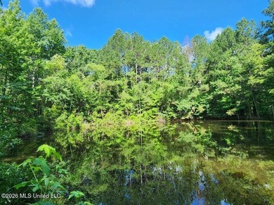 Hunting Cabin on 63 Acres in Franklin County, Mississippi - photo 43
