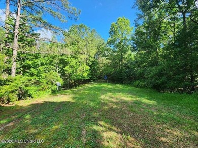 Hunting Cabin on 63 Acres in Franklin County, Mississippi - photo 44