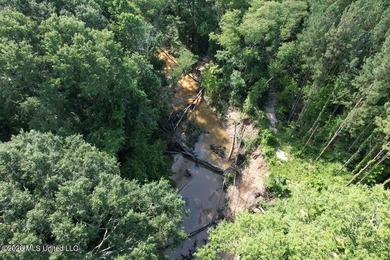 Hunting Cabin on 63 Acres in Franklin County, Mississippi - photo 46