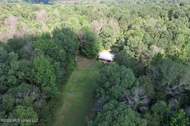 Hunting Cabin on 63 Acres in Franklin County, Mississippi - photo 48